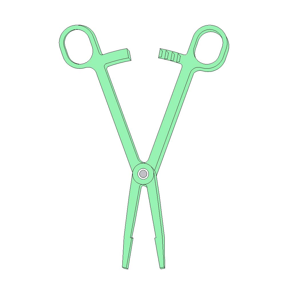Sponge Forceps